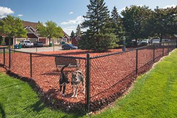 Gated dog park